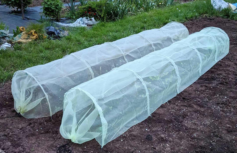 Haxnicks micromesh Easy Tunnels are perfect pest protection for growing brassicas, broccoli, cabbage
