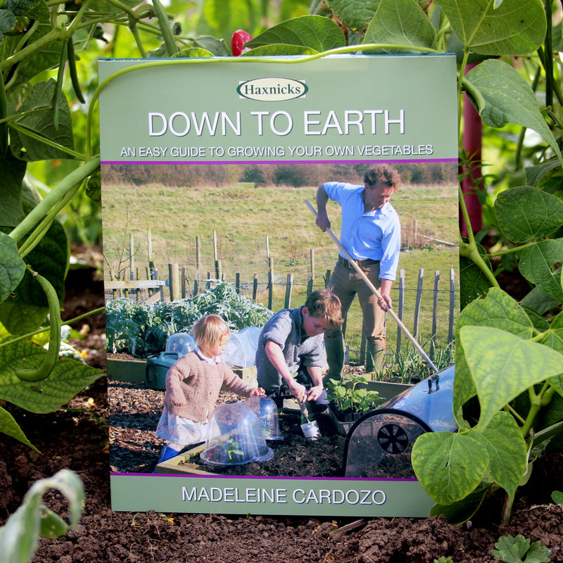 Haxnicks Down to Earth gardening book- in a garden setting