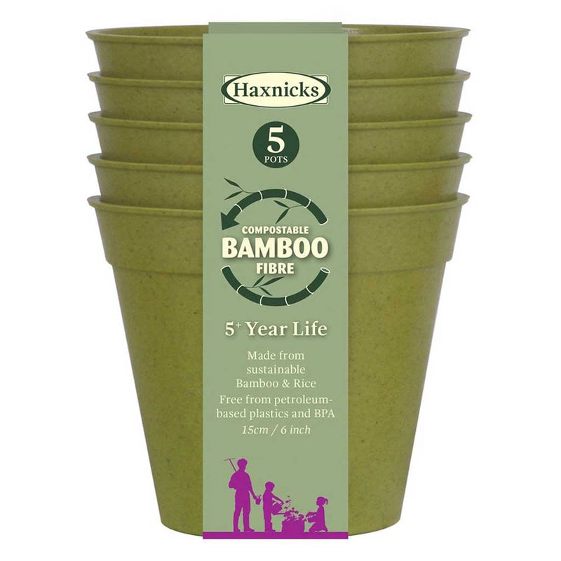 Haxnicks- Bamboo Pot and Saucer 6" (5 pack) - sage green pot packshot