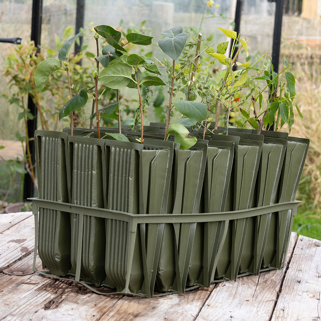 Jumbo Rootrainers | Propagation | Haxnicks