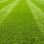 Rapid Roll-Out Perfect Lawn 5m2
