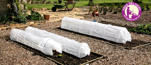 Haxnicks- easy tunnels- group in use on raised beds- various sizes