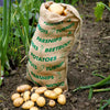 Haxnicks- Vegetable Sack - in use in veg patch with potatoes
