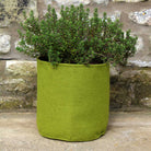 Vigoroot Pots  (3 pack) - Haxnicks