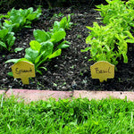 Haxnicks- Bamboo Plant Marker (3 pack) - in use as herb markers