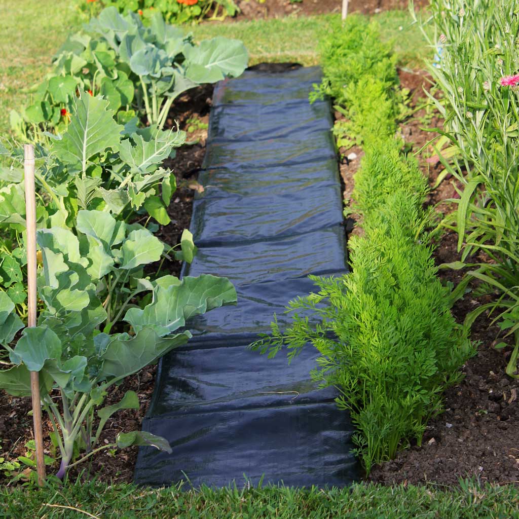 Easy Path Pathway Protector – Haxnicks