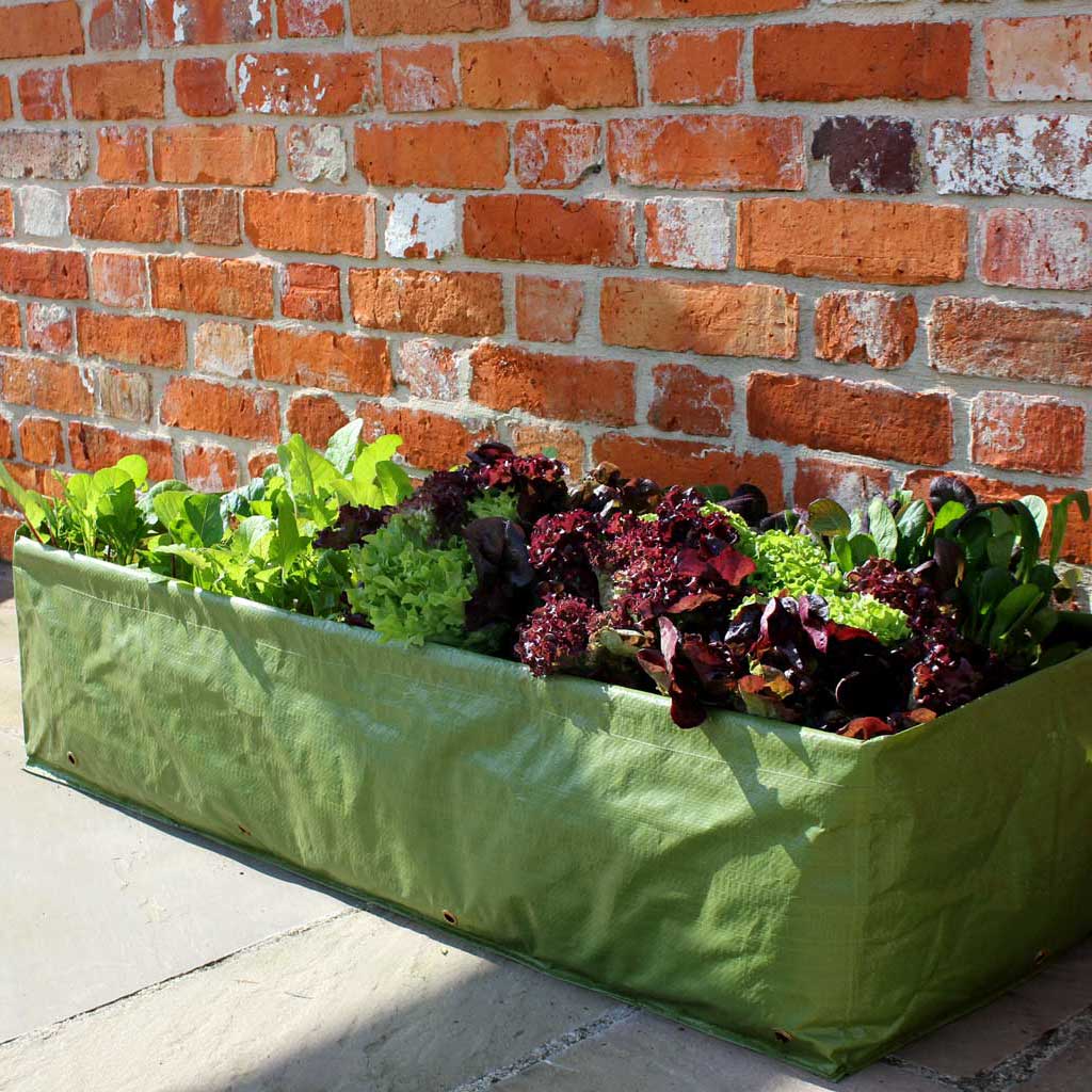 Multi Purpose Growbag Planter - Haxnicks- in use on patio