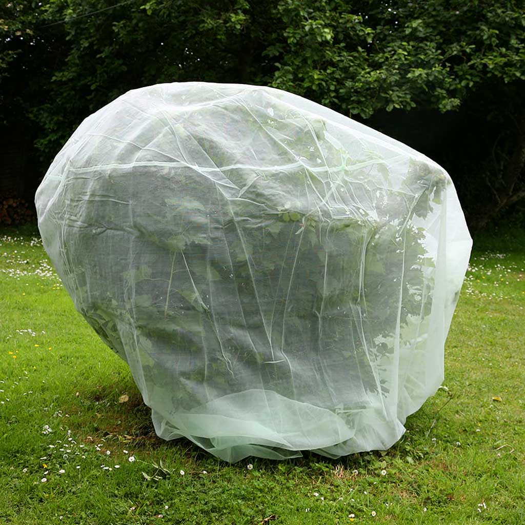 Haxnicks- Fruit Tree Protection Net 2m - in use on bush 