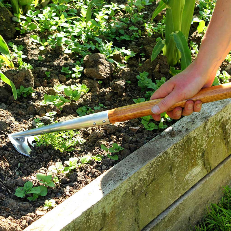 SpeedHoe Precision - Haxnicks- in use on raised bed