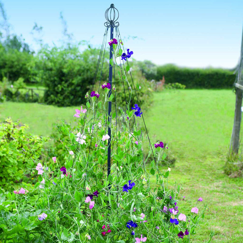 Garden Maypole in use