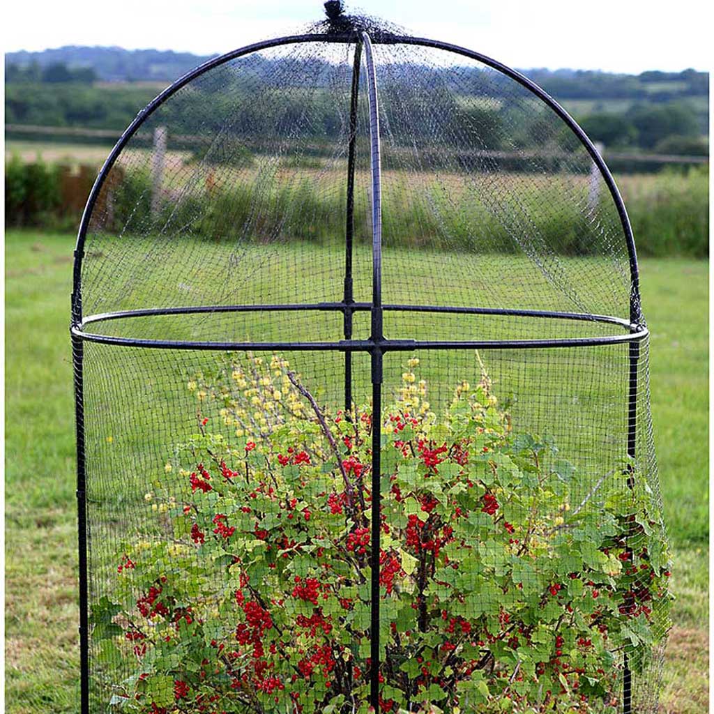 Steel Round Fruit Cage - Haxnicks