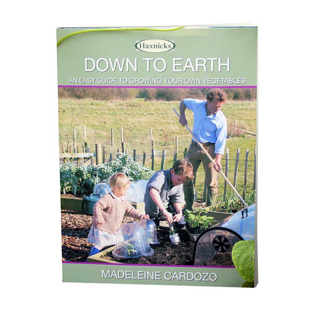 Haxnicks- Down To Earth - book cover