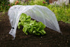 Haxnicks- Easy Poly Tunnel - in use close up growing lettuce