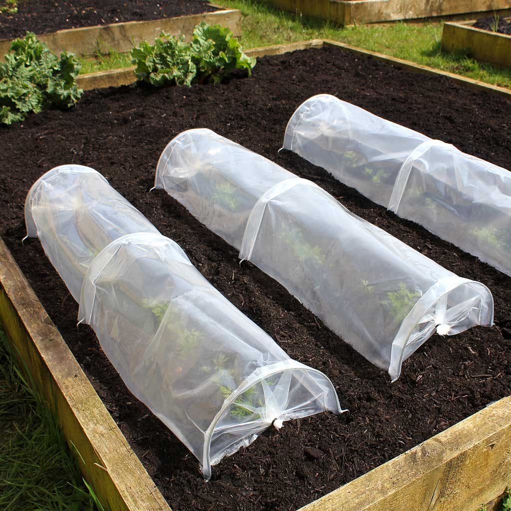 Haxnicks- Easy Seedling Tunnel - 3 in use on raised bed