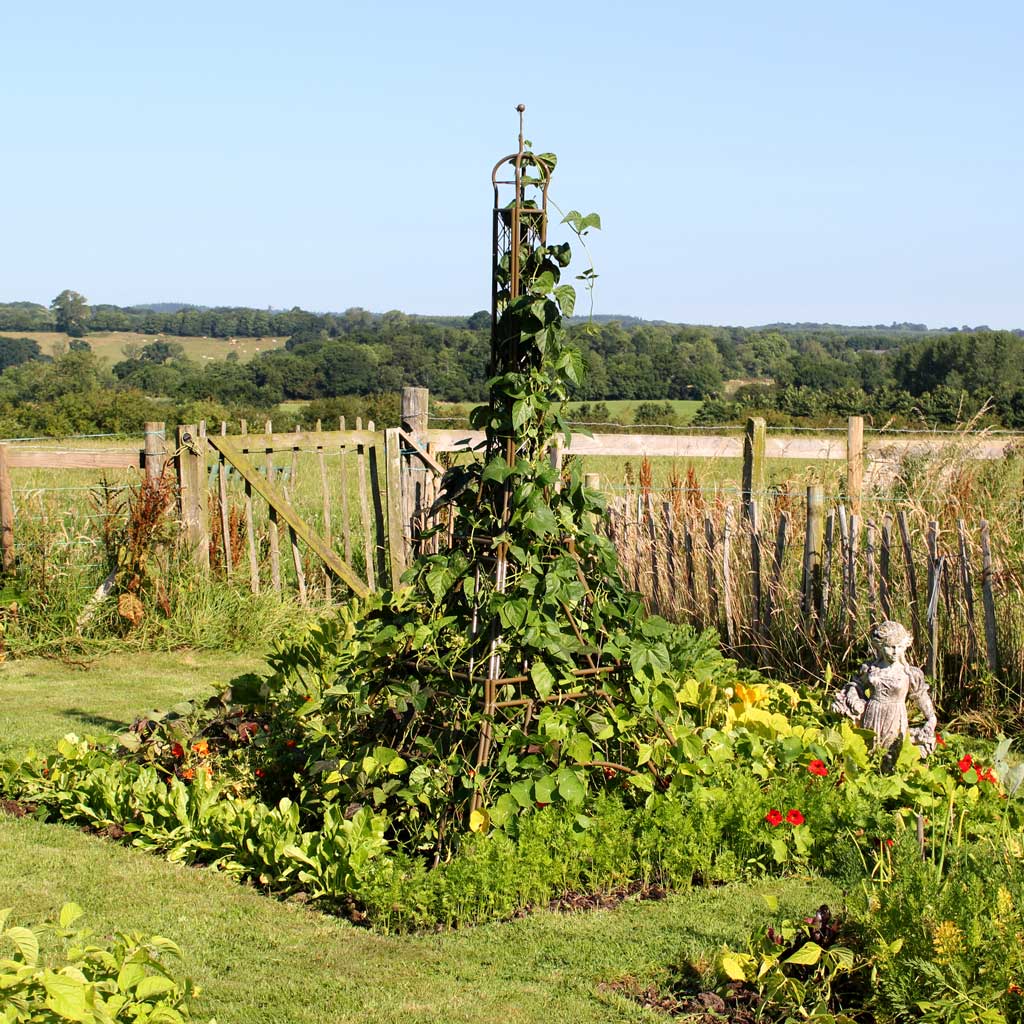 Eiffel Tower Plant Frame | Plant Support | Haxnicks