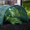 Haxnicks- Giant Easy Net Tunnel - in use growing lettuce