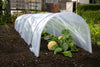 Haxnicks- Giant Easy Poly Tunnel - in use growing melon