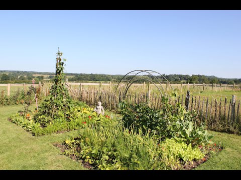 Eiffel Tower Plant Frame | Plant Support | Haxnicks