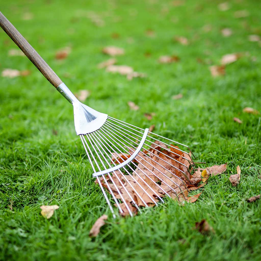 Leaf Rake | Haxnicks