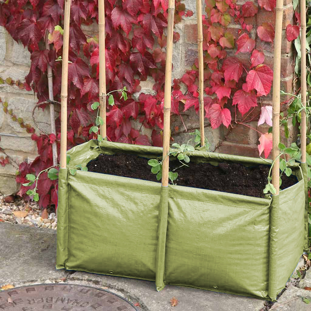 https://www.haxnicks.co.uk/cdn/shop/products/pea-and-bean-planter2-green_1024x.jpg?v=1654529955